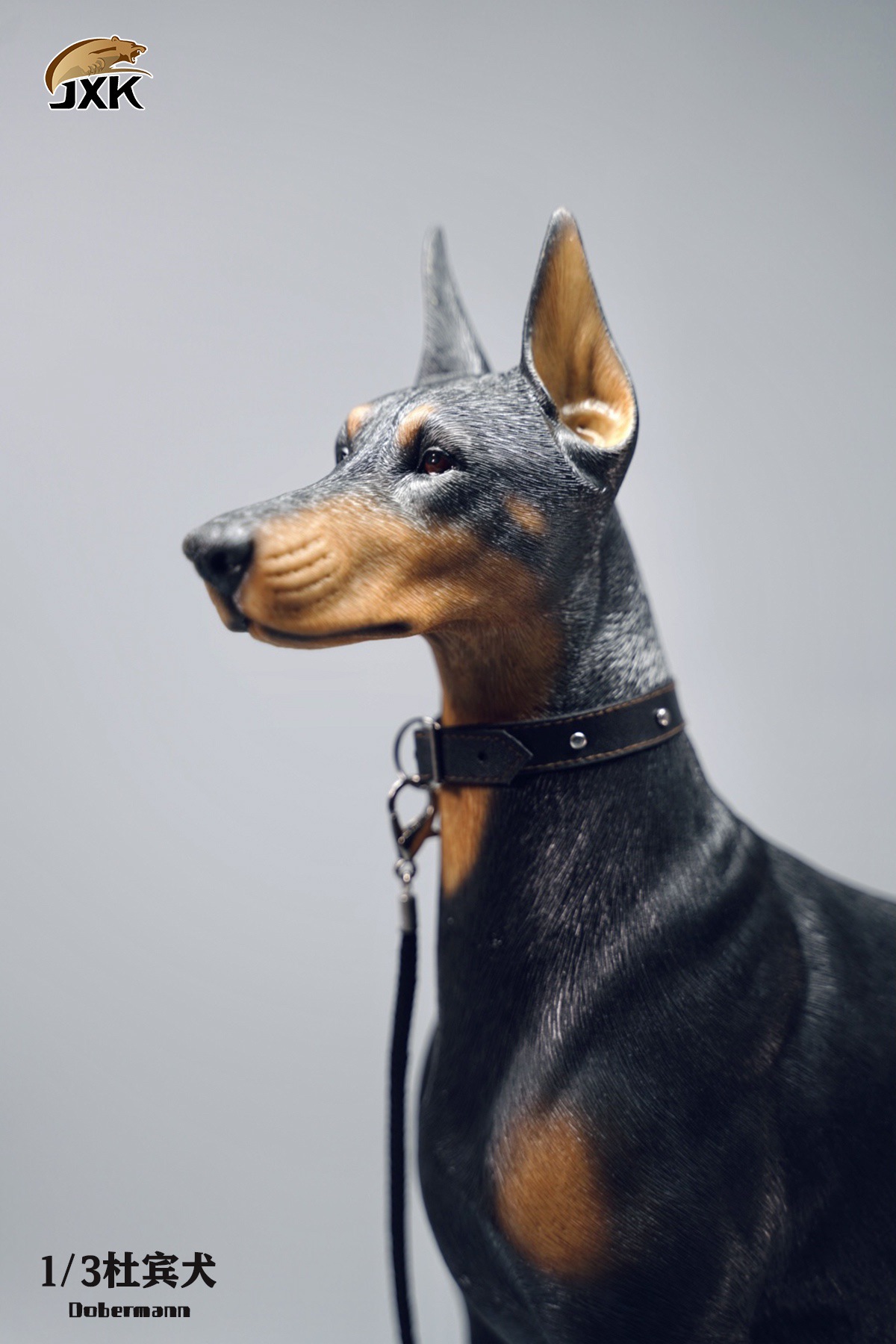Doberman Animal Model 1/3