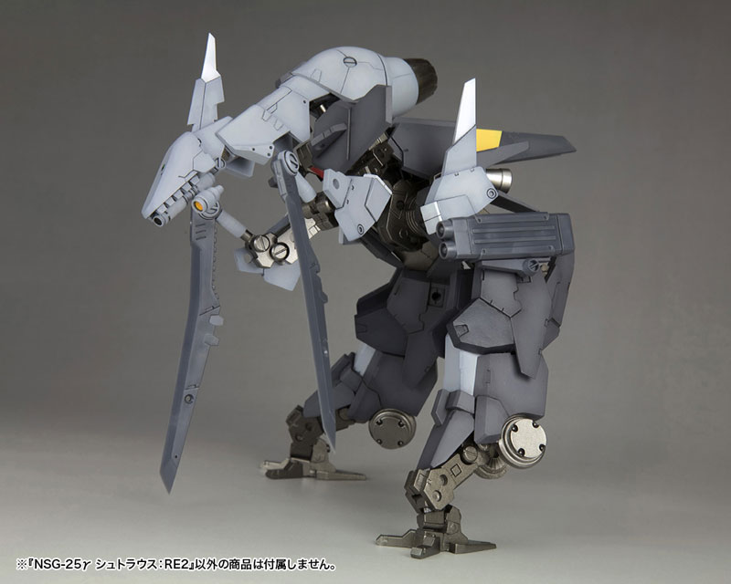 Frame Arms NSG-25y Strauss: RE2 1/100