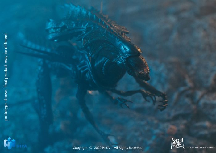 Alien vs Predator