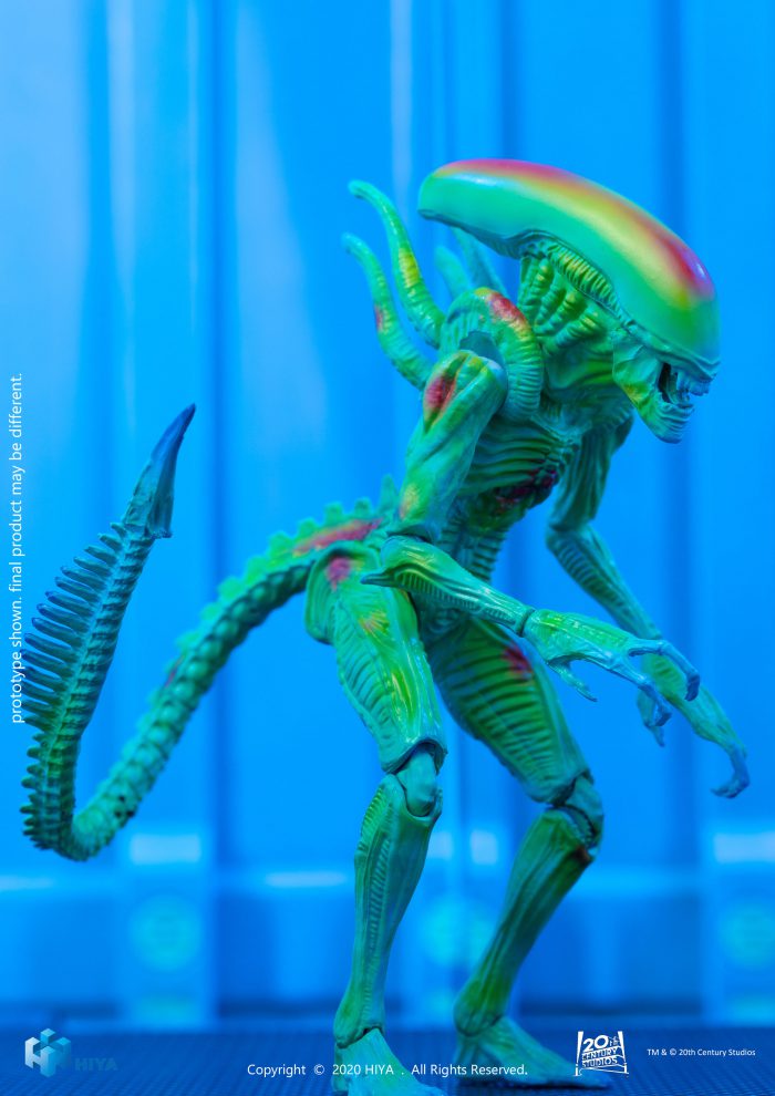 Alien vs Predator