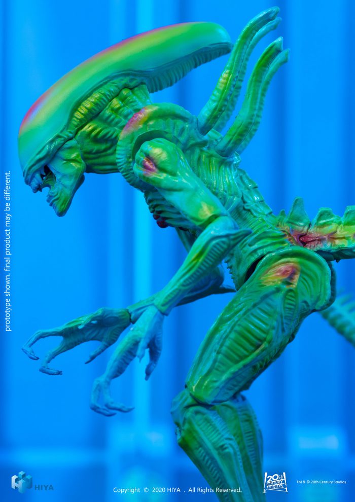 Alien vs Predator