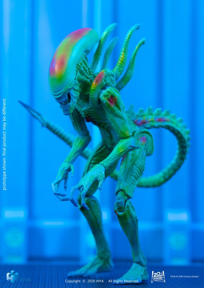 Alien vs Predator
