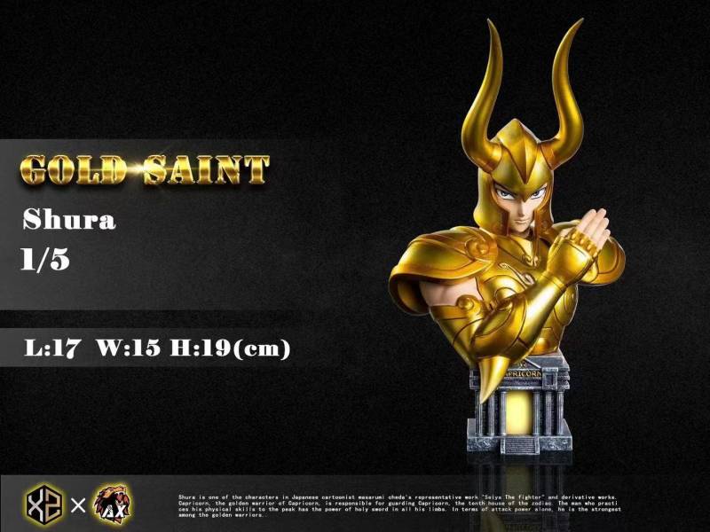 Capricorn Shura - Saint Seiya 1/5