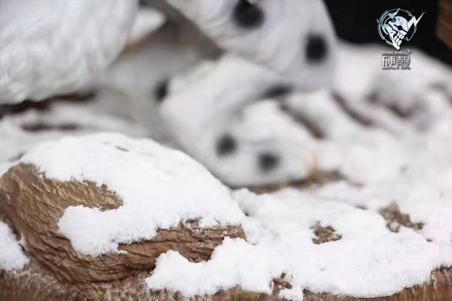 Cute cat horn dragon outfit - Monster Hunter