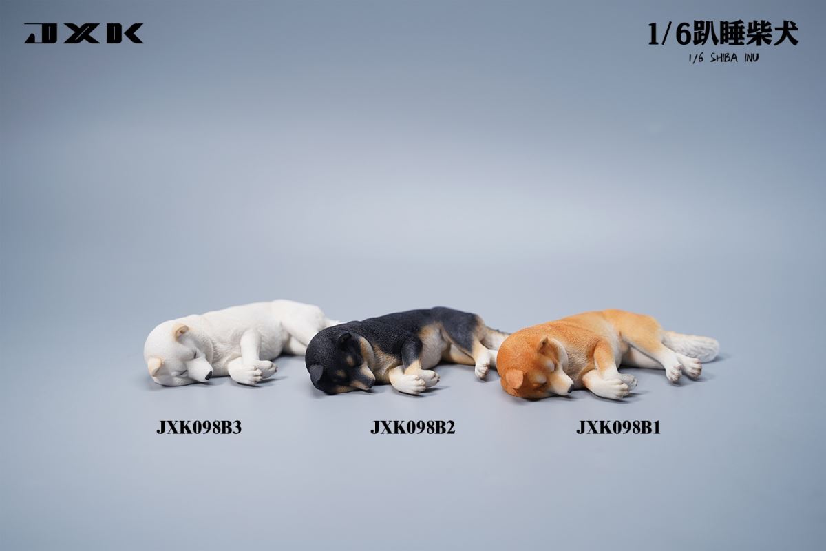 Shiba Inu 1/6