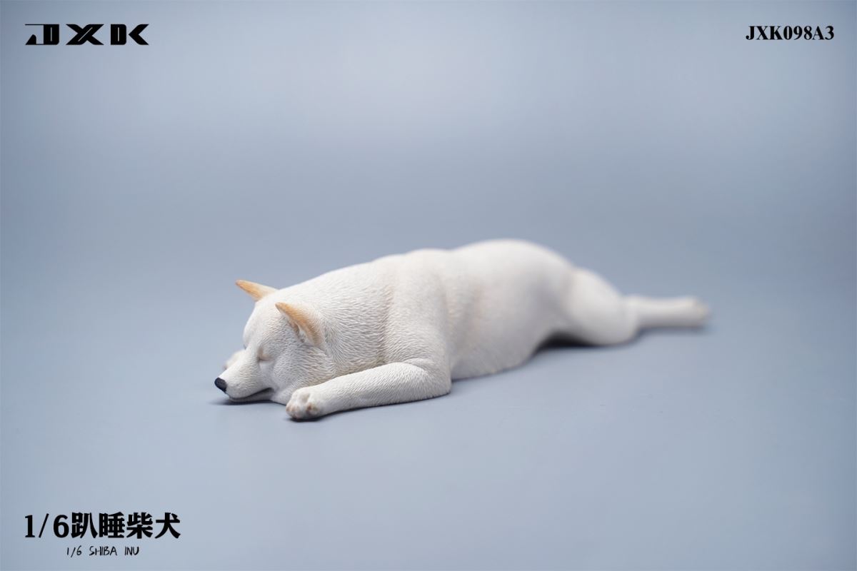 Shiba Inu 1/6