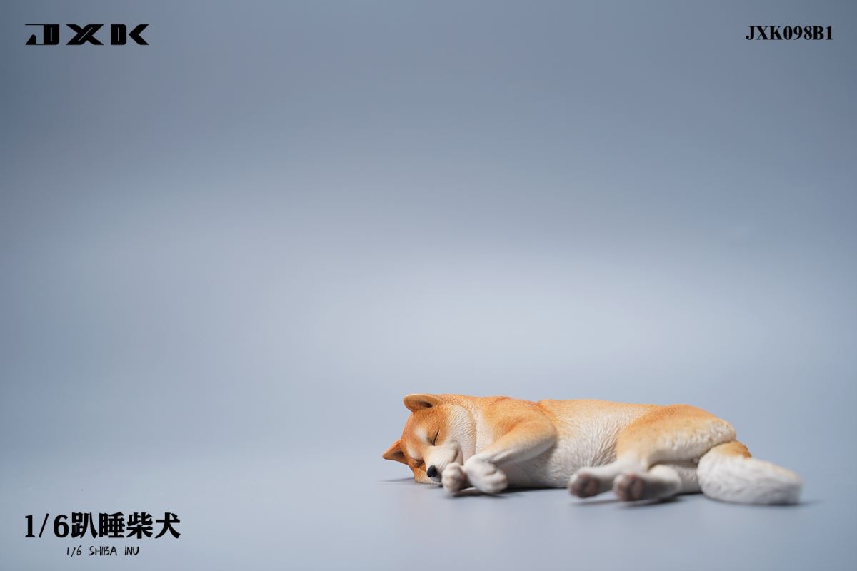 Shiba Inu 1/6
