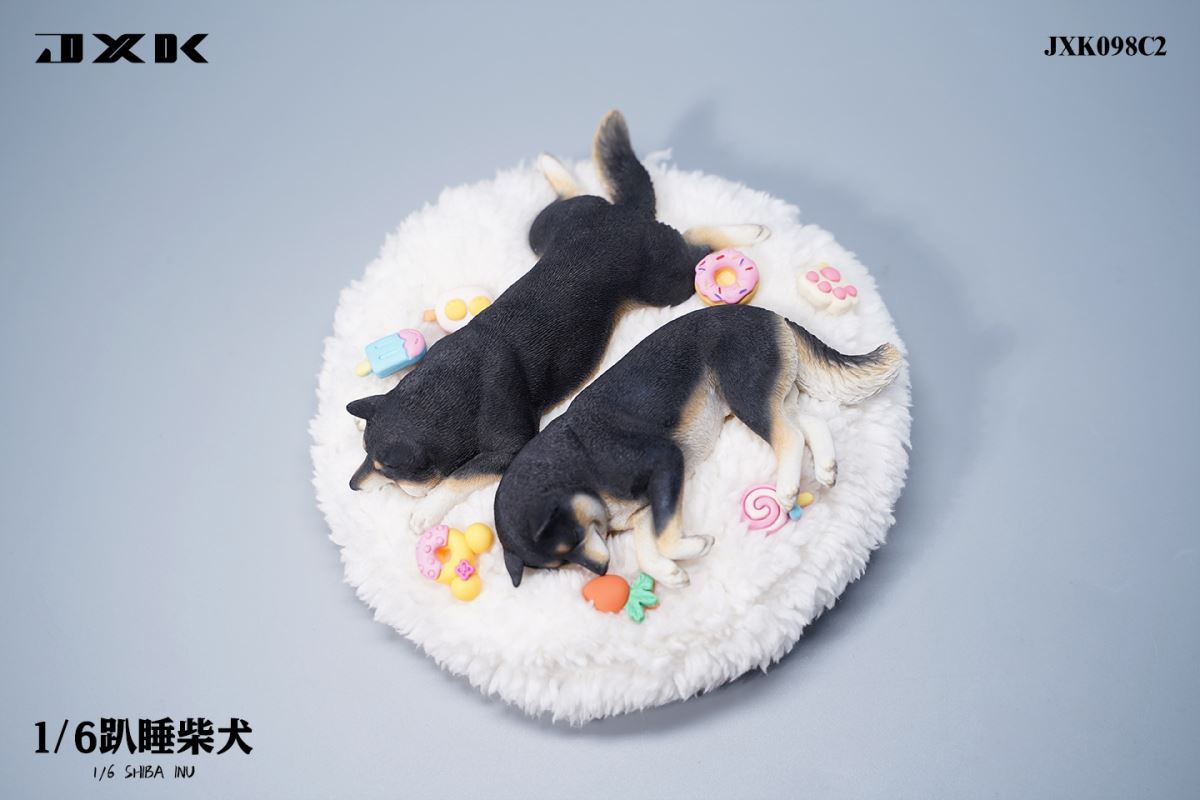Shiba Inu 1/6