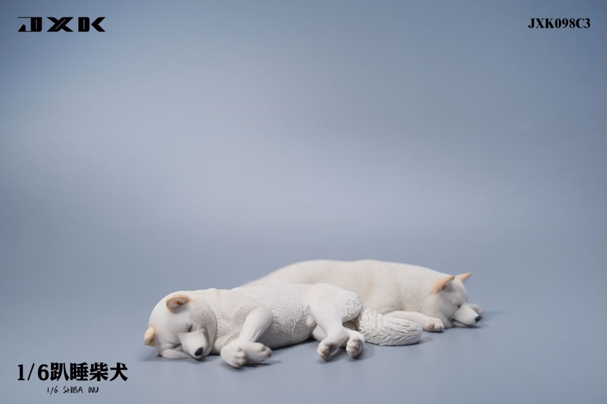 Shiba Inu 1/6