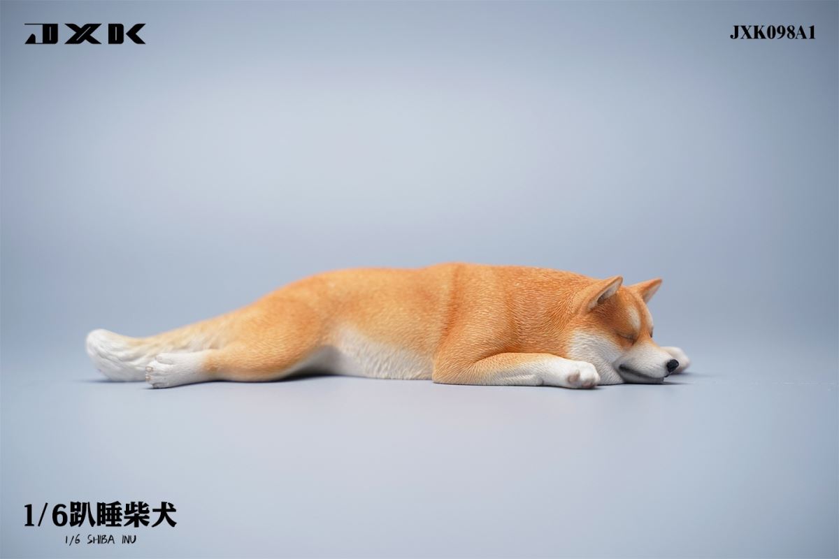 Shiba Inu 1/6