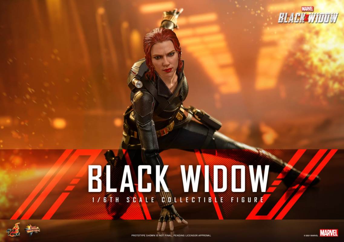 Black Widow 1/6