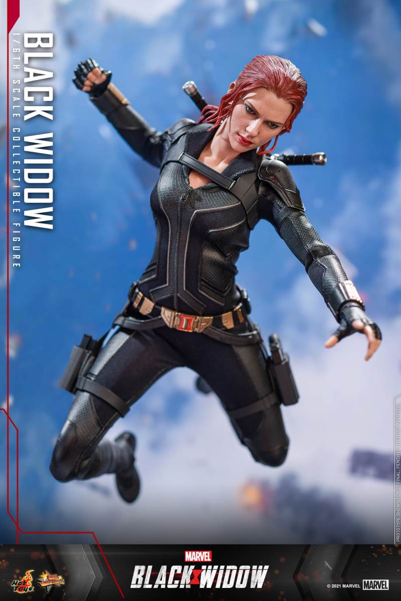 Black Widow 1/6