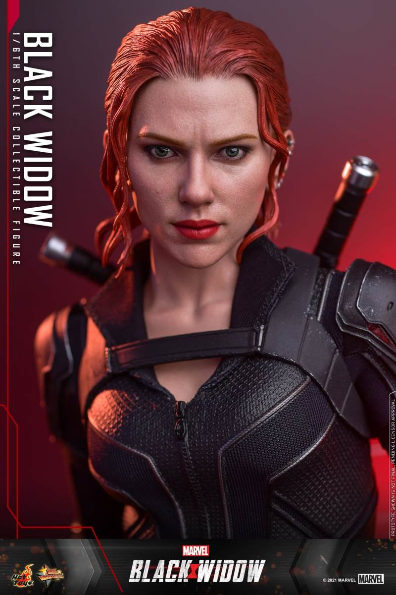 Black Widow 1/6