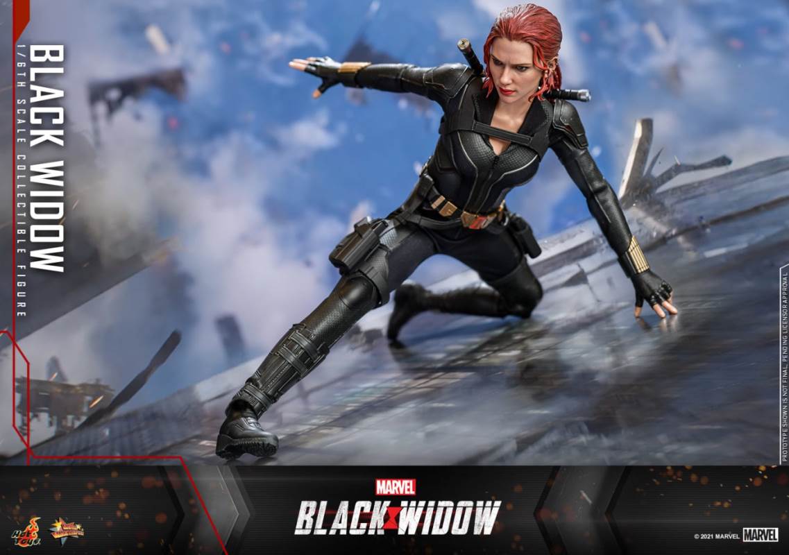 Black Widow 1/6