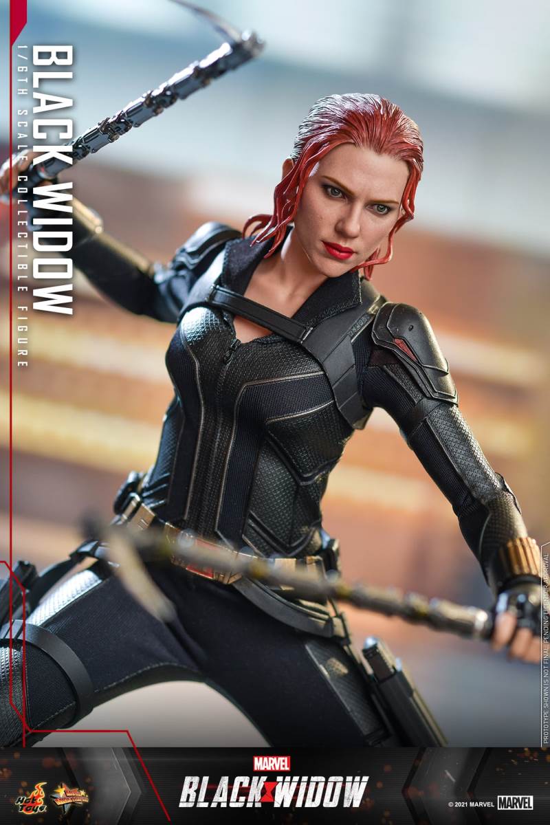 Black Widow 1/6