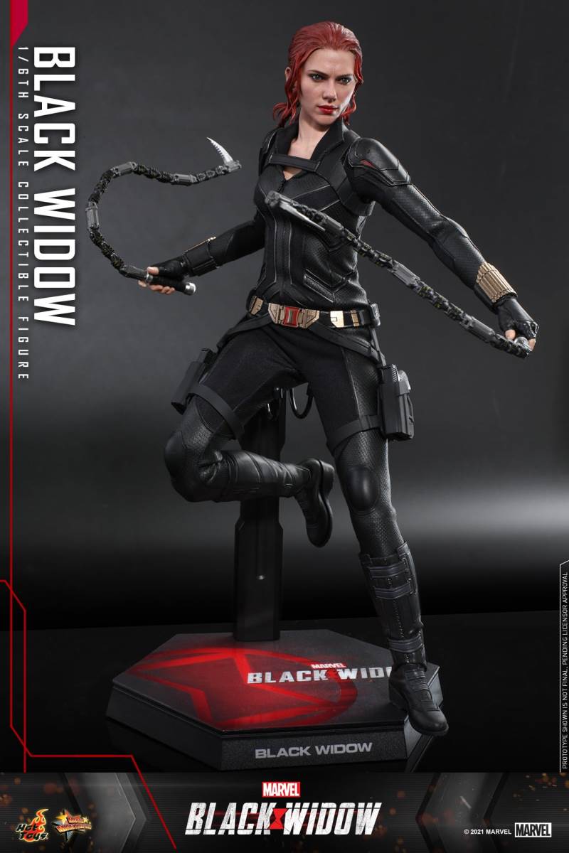 Black Widow 1/6