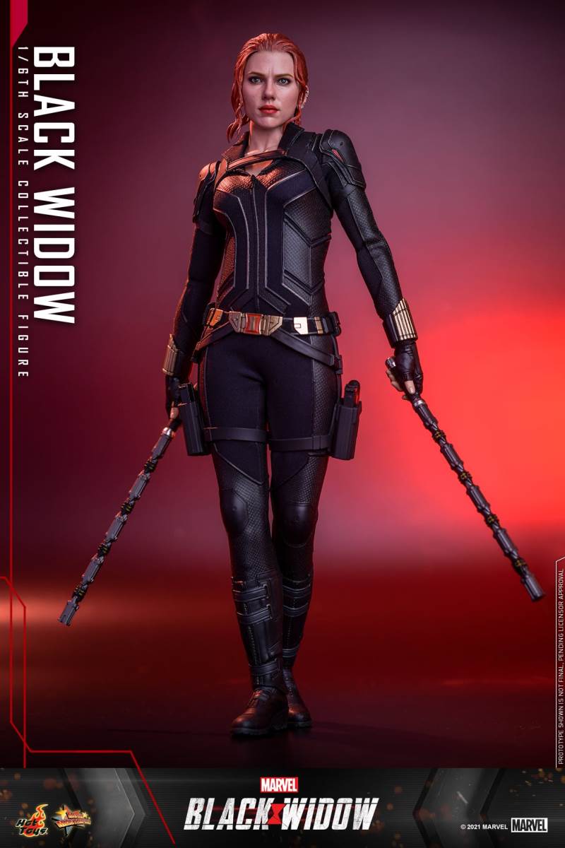 Black Widow 1/6