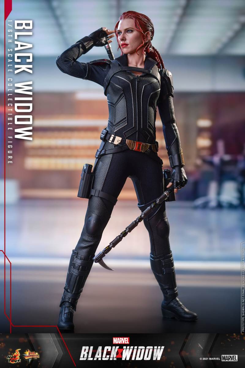 Black Widow 1/6