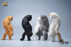 Exoticshorthair JXK088 1/6