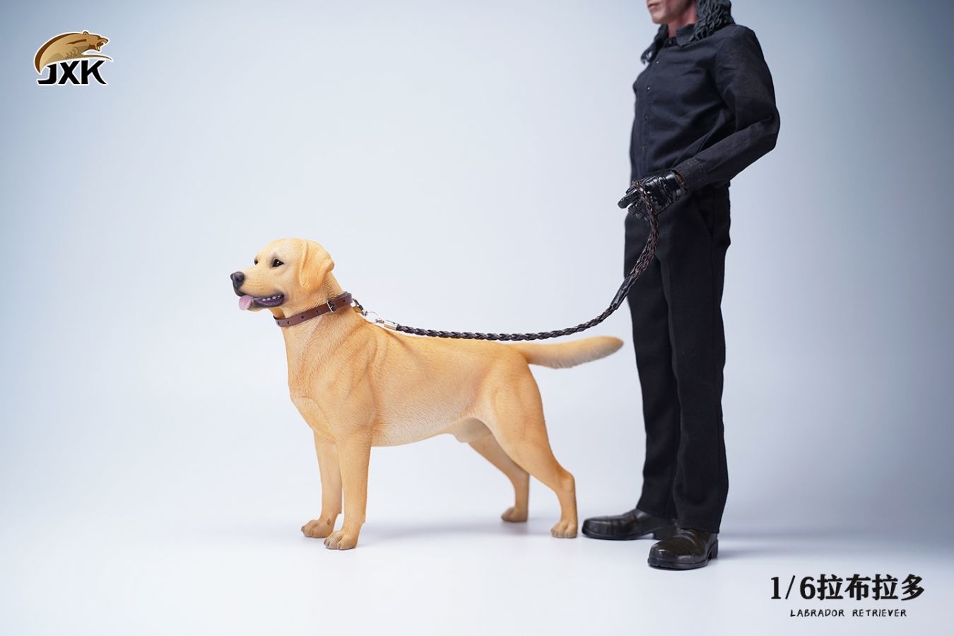 Labrador (JXK089) 1/6