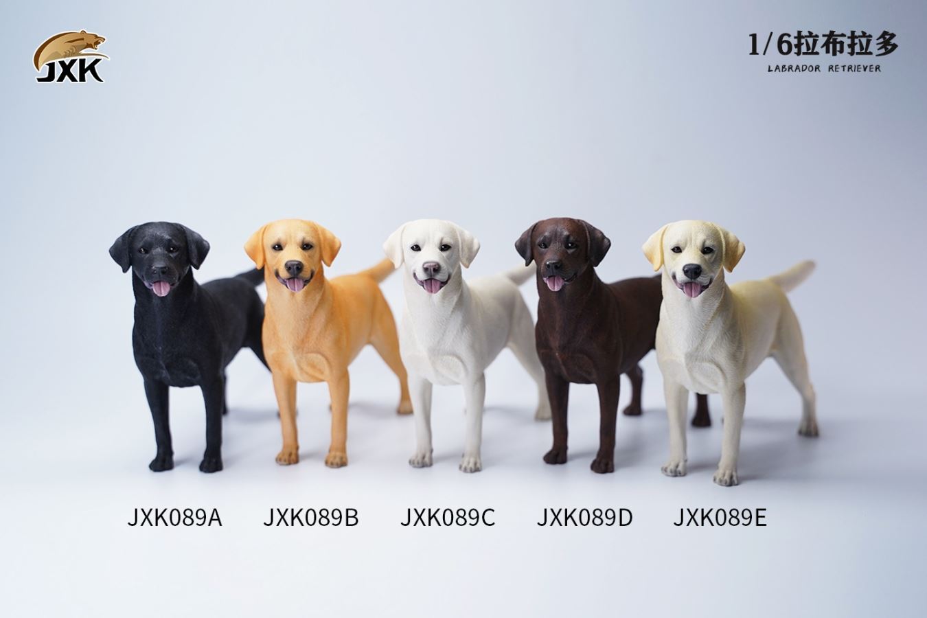 Labrador (JXK089) 1/6