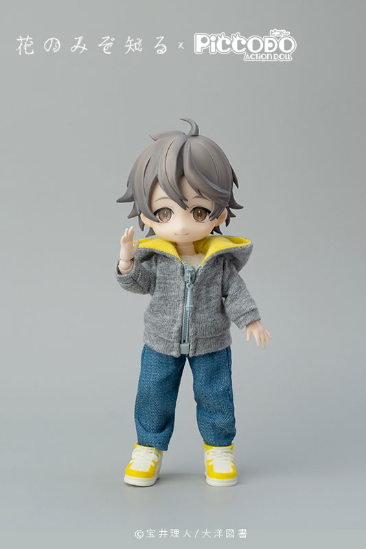 PICCODO Hana nomizo Shiru Youichi Arikawa Deformed Doll