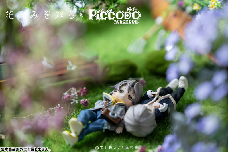 PICCODO Hana nomizo Shiru Youichi Arikawa Deformed Doll