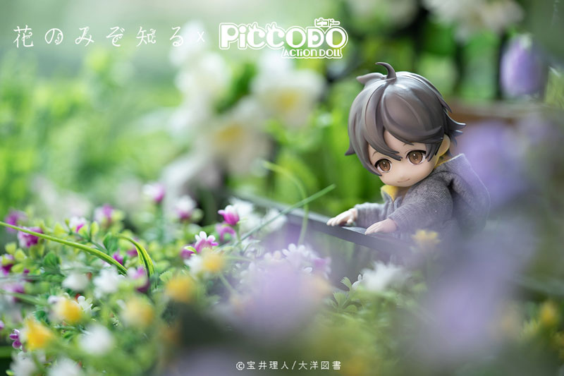 PICCODO Hana nomizo Shiru Youichi Arikawa Deformed Doll