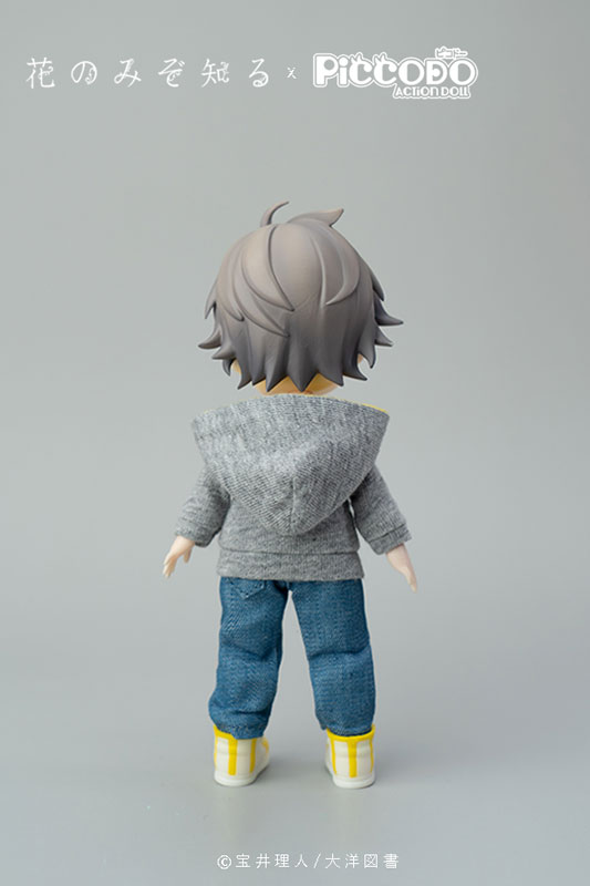 PICCODO Hana nomizo Shiru Youichi Arikawa Deformed Doll