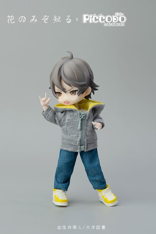 PICCODO Hana nomizo Shiru Youichi Arikawa Deformed Doll