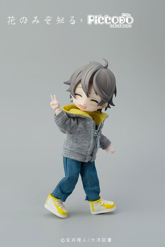 PICCODO Hana nomizo Shiru Youichi Arikawa Deformed Doll