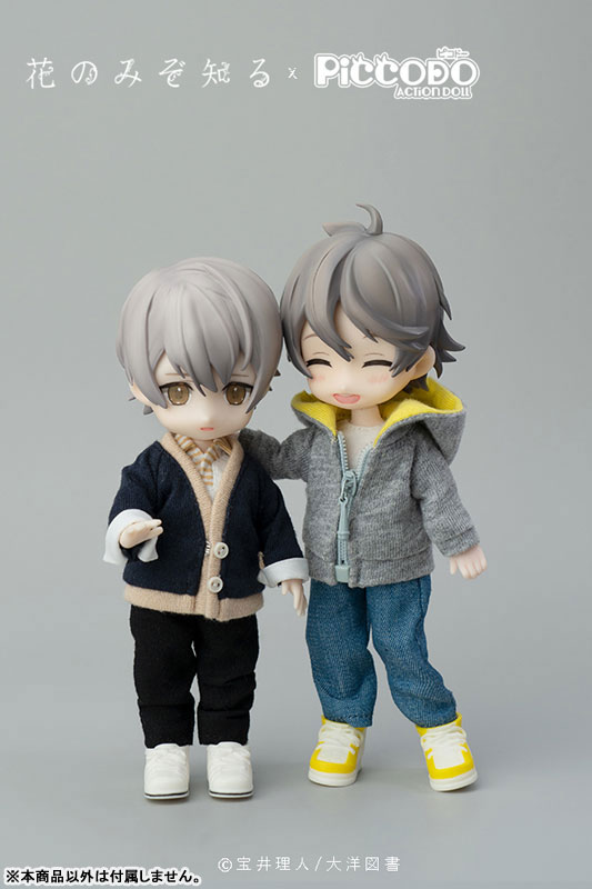 PICCODO Hana nomizo Shiru Youichi Arikawa Deformed Doll