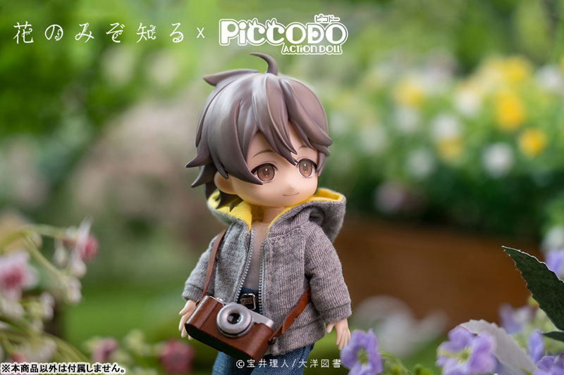 PICCODO Hana nomizo Shiru Youichi Arikawa Deformed Doll