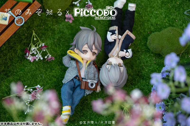 PICCODO Hana nomizo Shiru Youichi Arikawa Deformed Doll