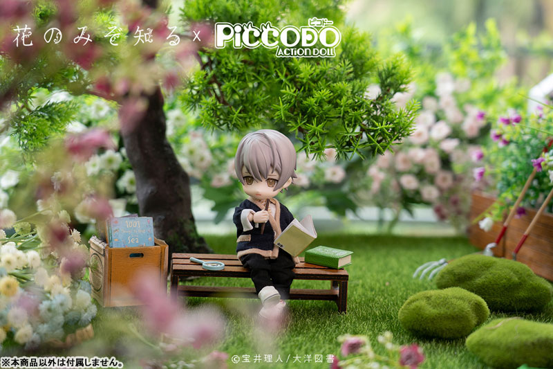 PICCODO Hana nomizo Shiru Shouta Misaki Deformed Doll
