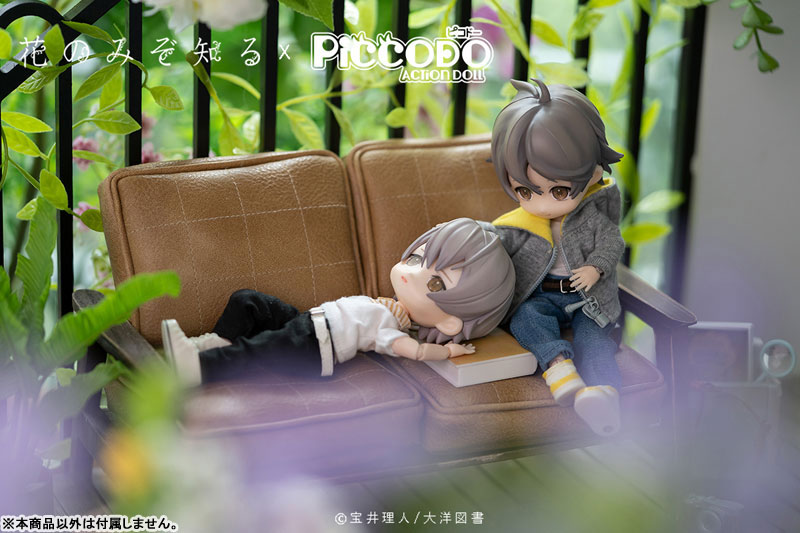 PICCODO Hana nomizo Shiru Shouta Misaki Deformed Doll