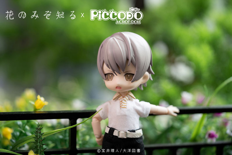 PICCODO Hana nomizo Shiru Shouta Misaki Deformed Doll