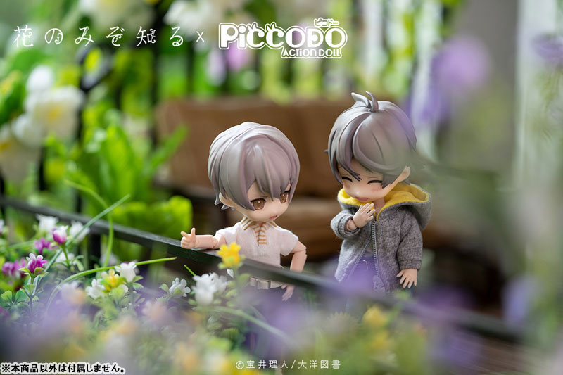 PICCODO Hana nomizo Shiru Shouta Misaki Deformed Doll