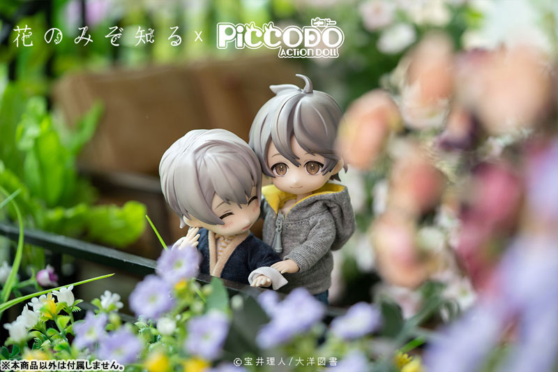 PICCODO Hana nomizo Shiru Shouta Misaki Deformed Doll