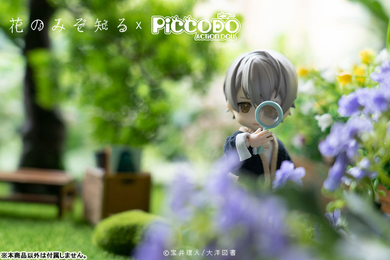PICCODO Hana nomizo Shiru Shouta Misaki Deformed Doll