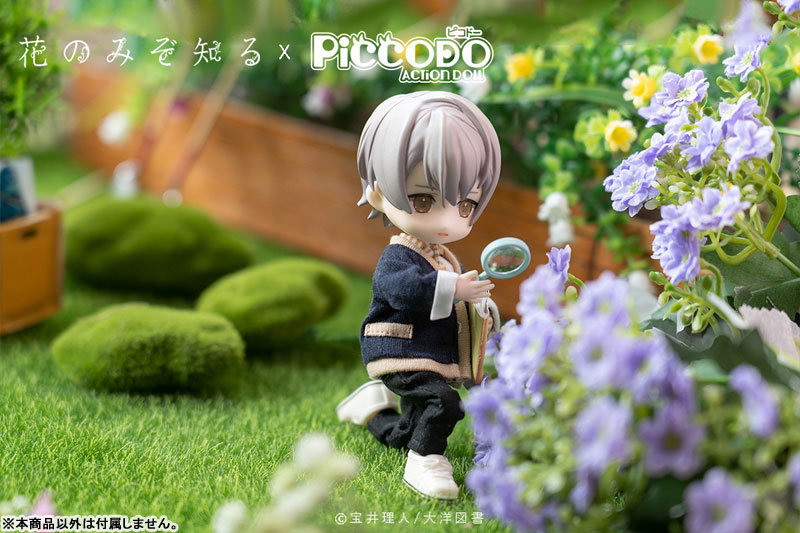 PICCODO Hana nomizo Shiru Shouta Misaki Deformed Doll
