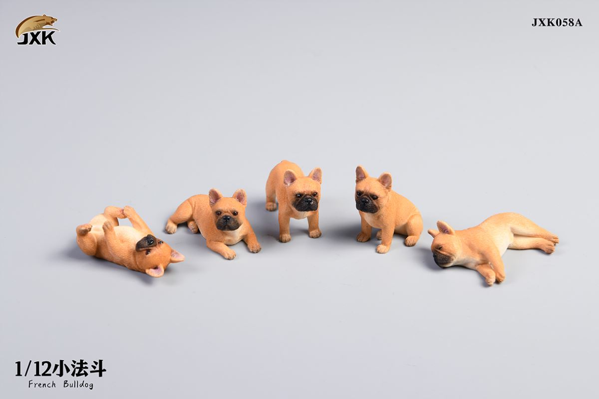 Miniature French bulldog 1/12