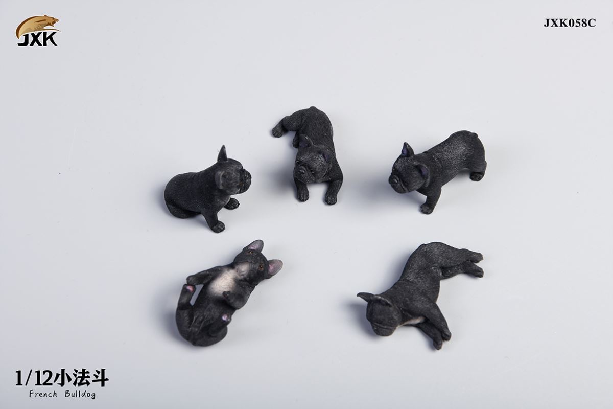 Miniature French bulldog 1/12