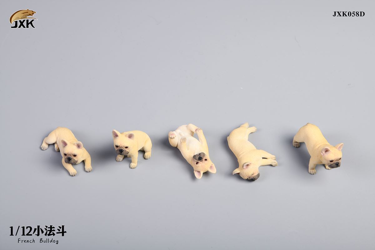 Miniature French bulldog 1/12