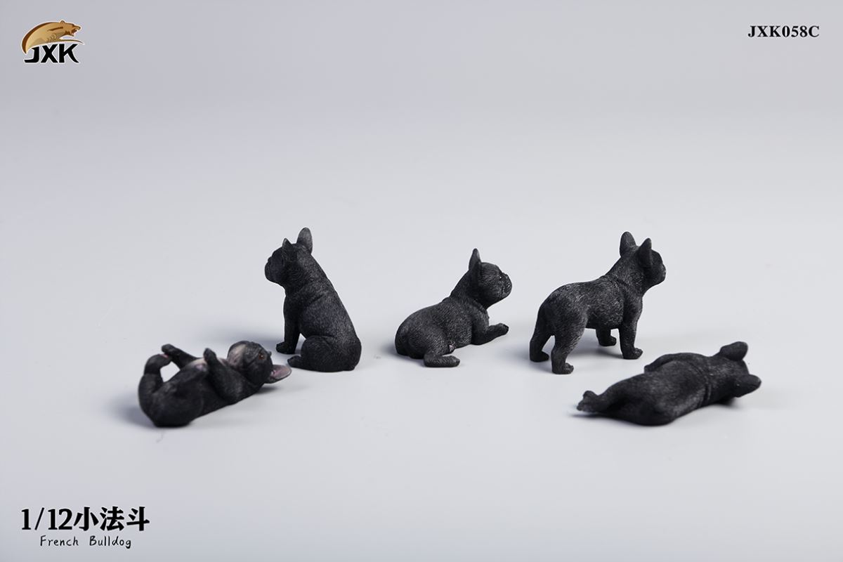 Miniature French bulldog 1/12
