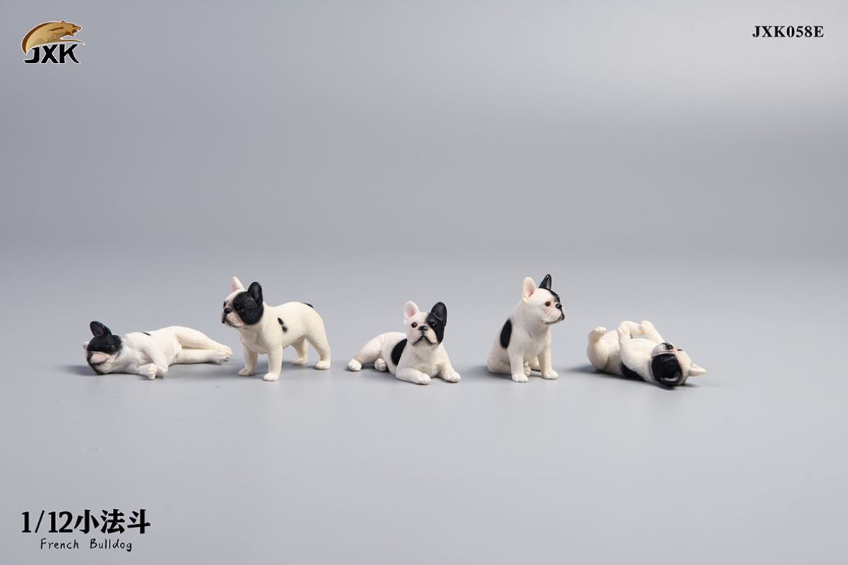 Miniature French bulldog 1/12
