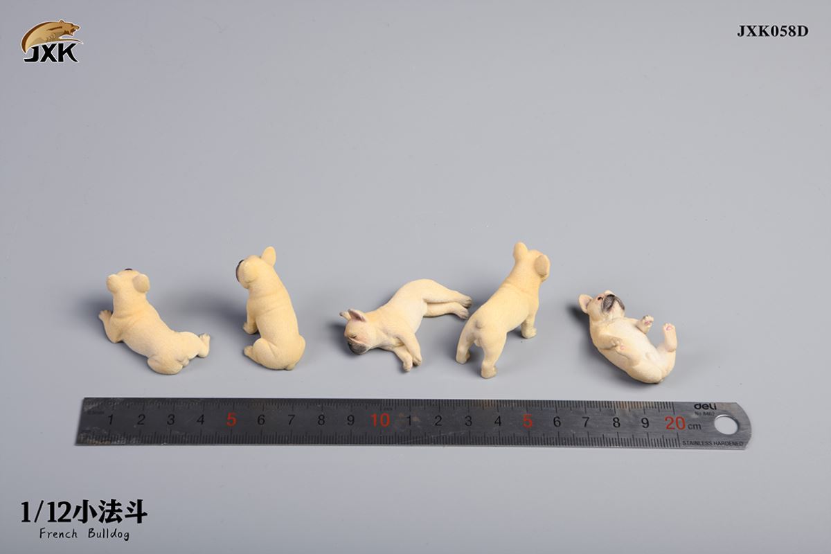 Miniature French bulldog 1/12