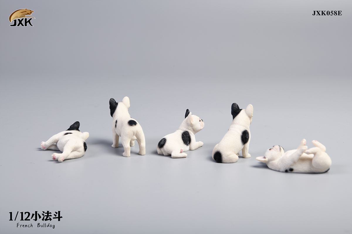 Miniature French bulldog 1/12