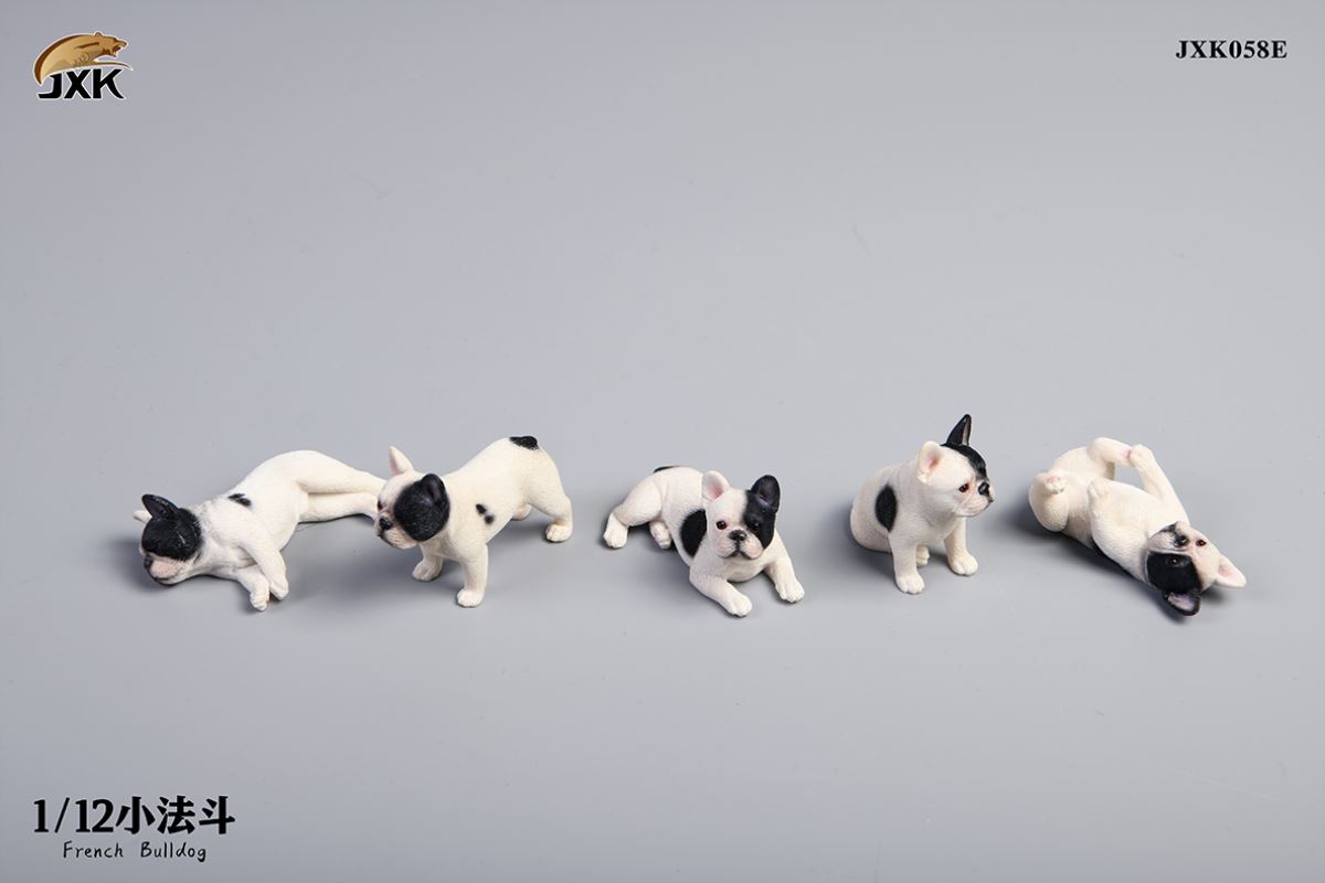 Miniature French bulldog 1/12