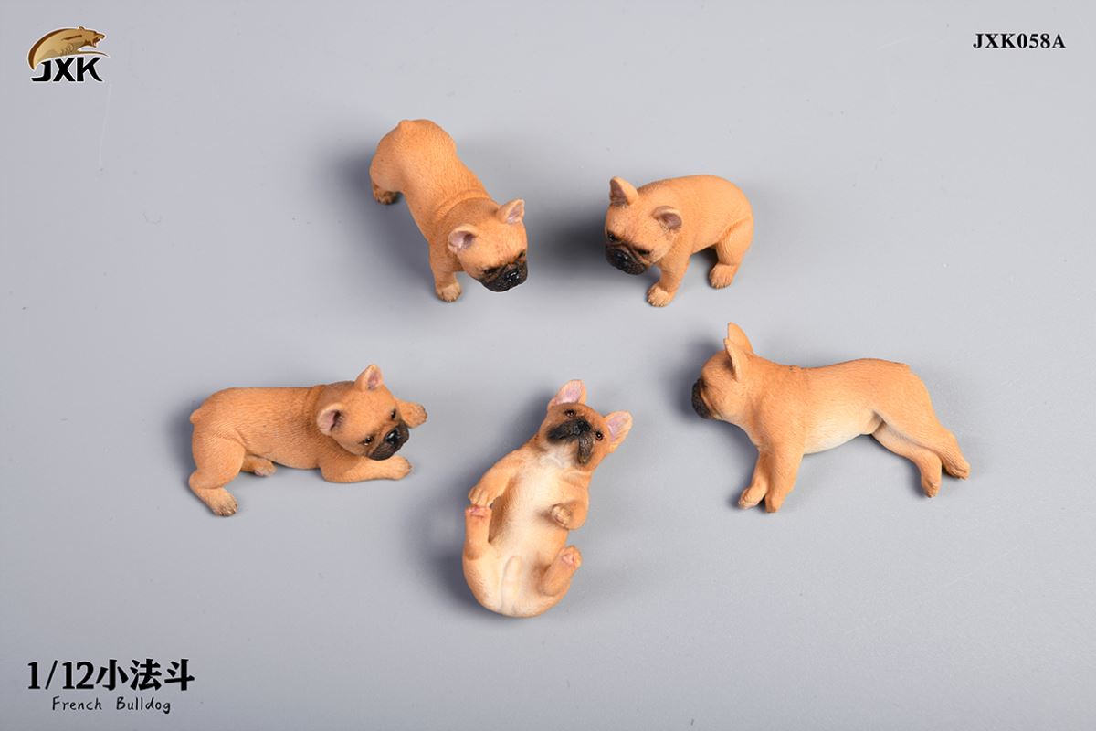 Miniature French bulldog 1/12